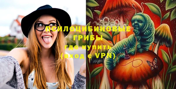 МДПВ Нефтегорск