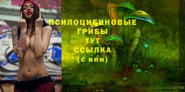 МДПВ Нефтегорск