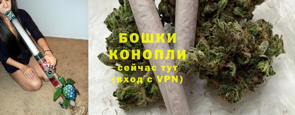 PSILOCYBIN Нея