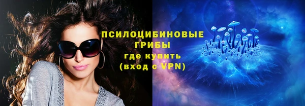 МДПВ Нефтегорск